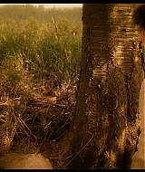 Filename=030.jpg
Filesize=302KiB
Dimensions=1024x576
Date added=Jun 16, 2023 030.jpg
