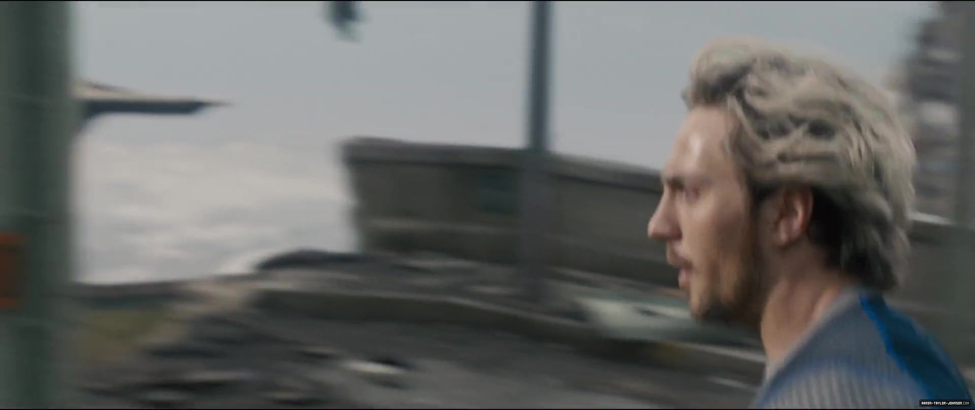 356.jpg