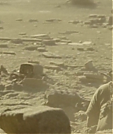 1314.jpg