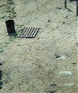 101.jpg