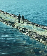 131.jpg
