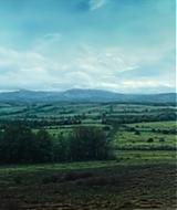 159.jpg