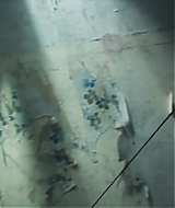 284.jpg
