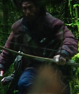 336.jpg