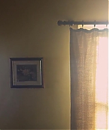 445.jpg