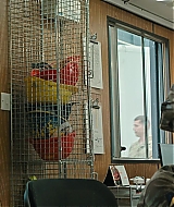 Filename=0122.jpg
Filesize=709KiB
Dimensions=1920x800
Date added=Jun 27, 2026 0122.jpg